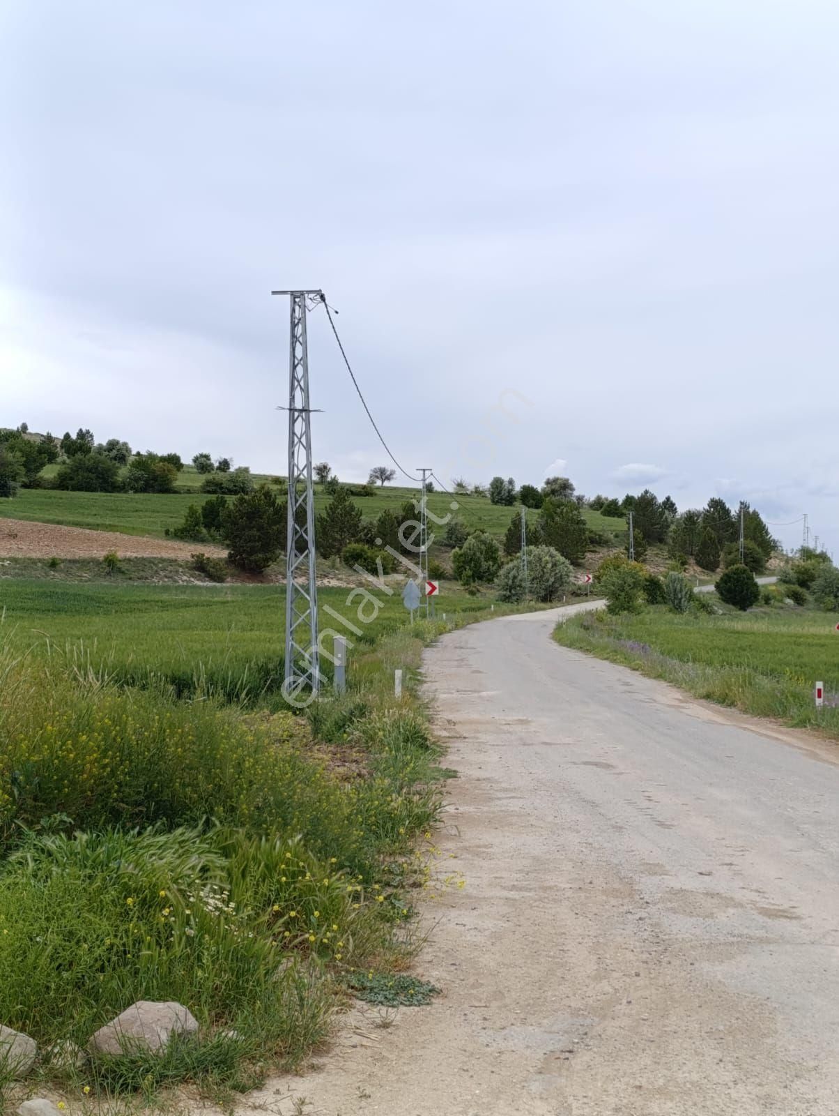 Beyşehir 10.720m2 Tarla