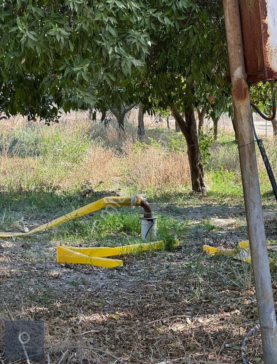 Milas Hacıabti Satılık Villa İmarlı Milas Merkez De Villa Arsasi