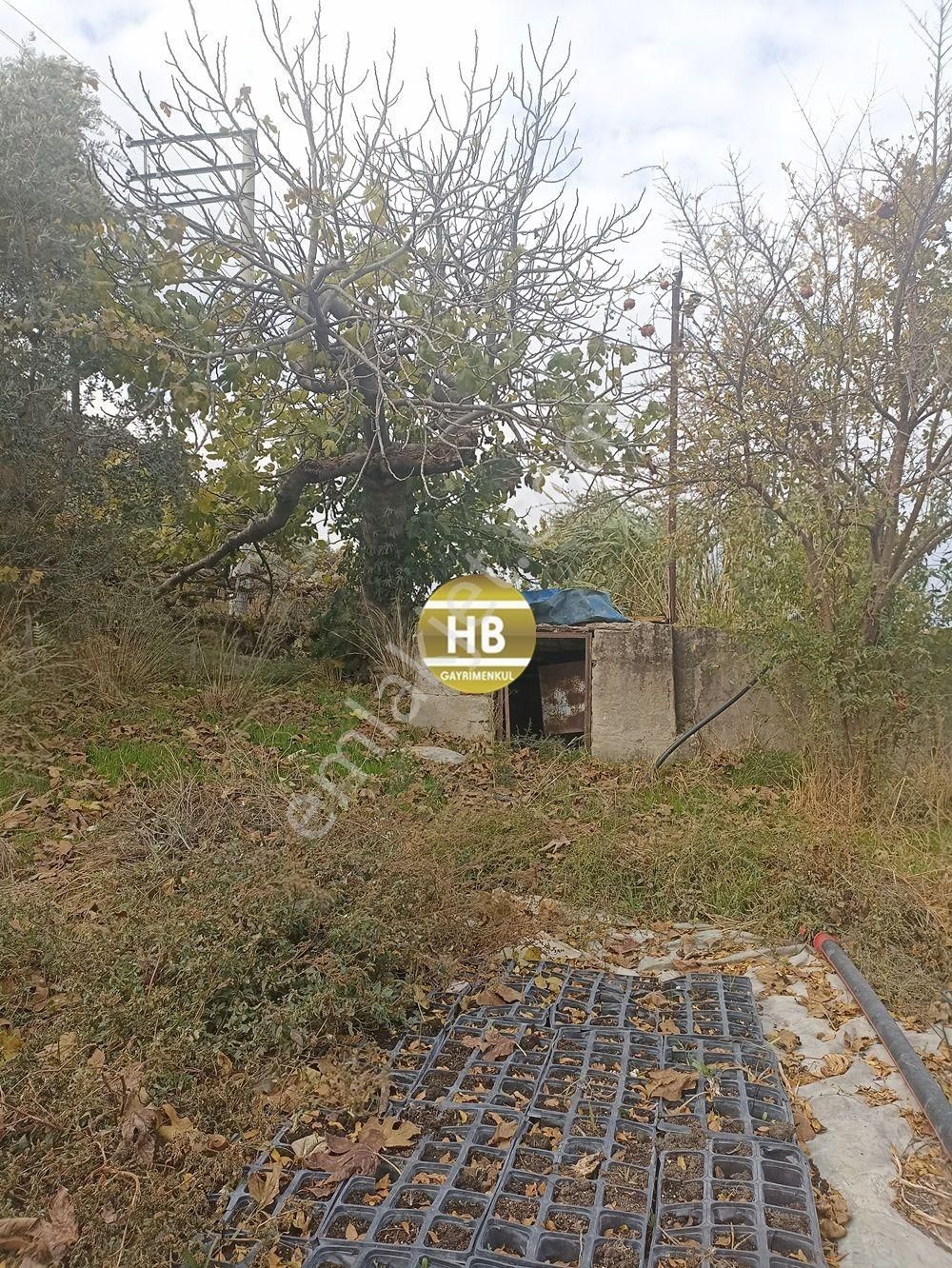 Hb'den Satılık Çiftlik,tekeli'de Asfalta Sıfır,ruhsatlı - Görsel 17