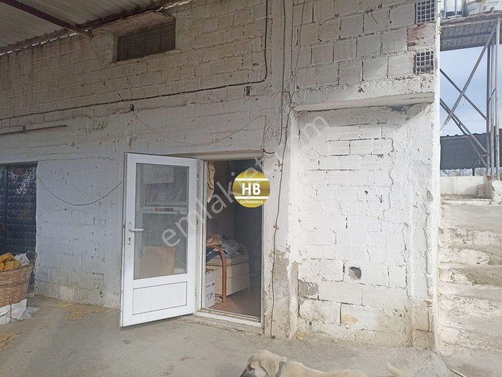 Hb'den Satılık Çiftlik,tekeli'de Asfalta Sıfır,ruhsatlı - Görsel 25