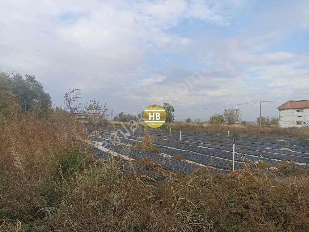 Hb'den Satılık Çiftlik,tekeli'de Asfalta Sıfır,ruhsatlı - Görsel 16