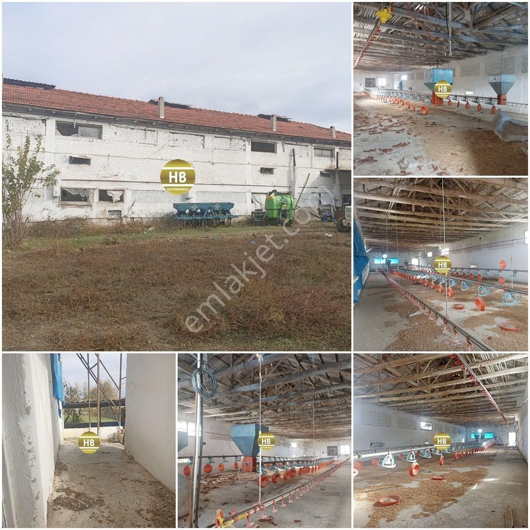 Hb'den Satılık Çiftlik,tekeli'de Asfalta Sıfır,ruhsatlı - Görsel 20