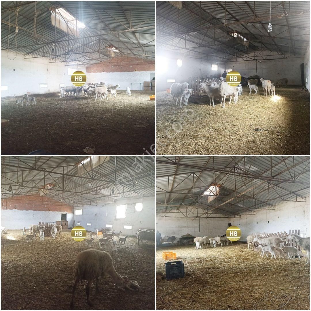 Hb'den Satılık Çiftlik,tekeli'de Asfalta Sıfır,ruhsatlı - Görsel 27