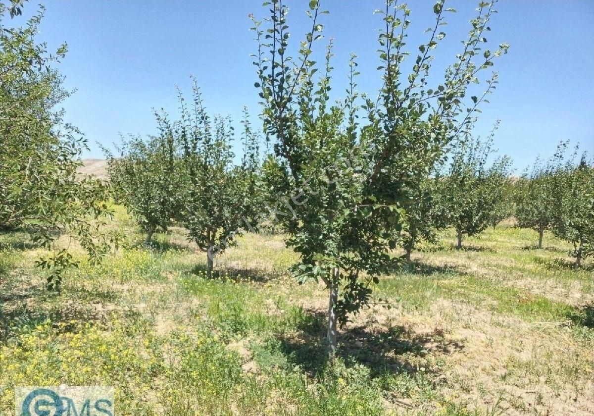 Manzarasına Hayran Kalacağınız Bir Bahçeye Sahip Olmak İstiyorsanız Bu Fırsatı Kaçırmayın - Görsel 11