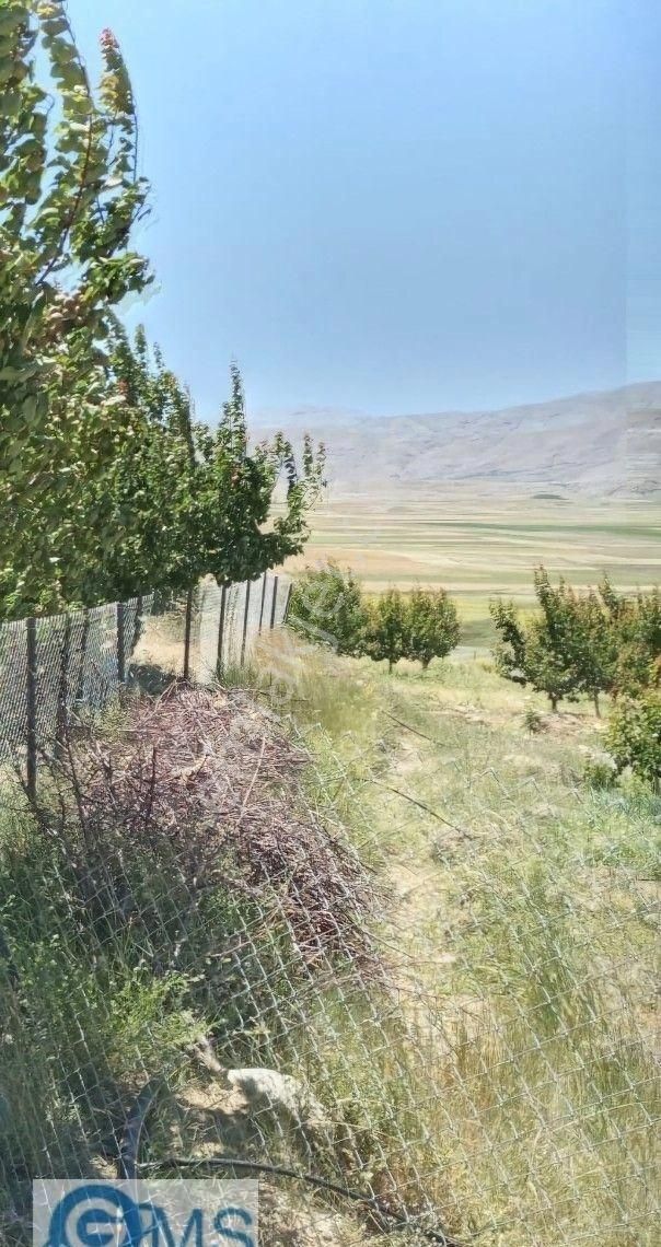 Manzarasına Hayran Kalacağınız Bir Bahçeye Sahip Olmak İstiyorsanız Bu Fırsatı Kaçırmayın - Görsel 4