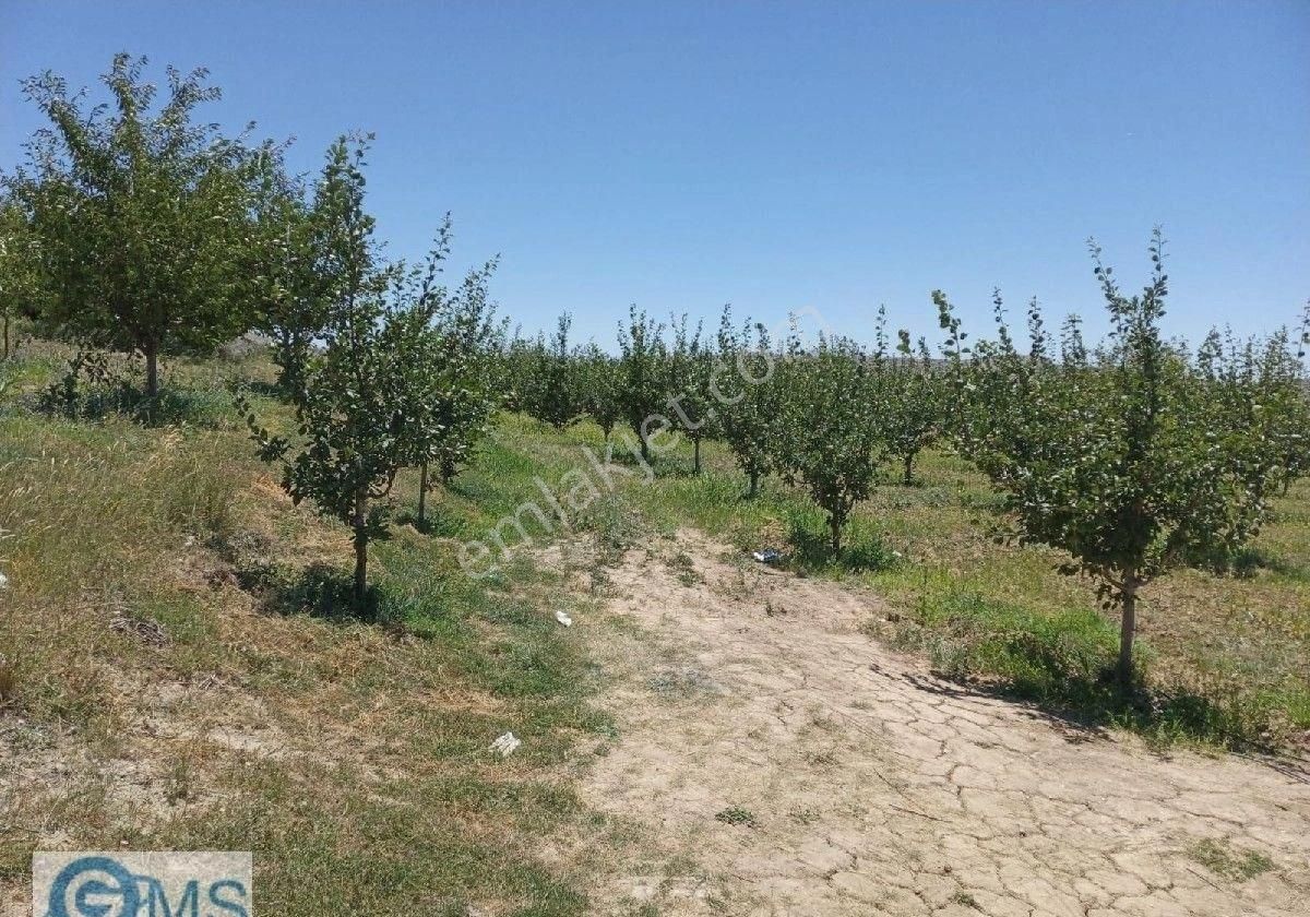 Manzarasına Hayran Kalacağınız Bir Bahçeye Sahip Olmak İstiyorsanız Bu Fırsatı Kaçırmayın - Görsel 2
