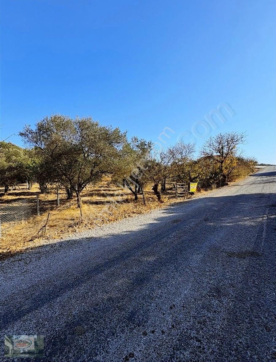 Yunusemre Osmancalı Satılık Konut İmarlı Akman Gayrimenkulden Osmancalı Mah.satılık 1000m2 İmarlı Arsa.