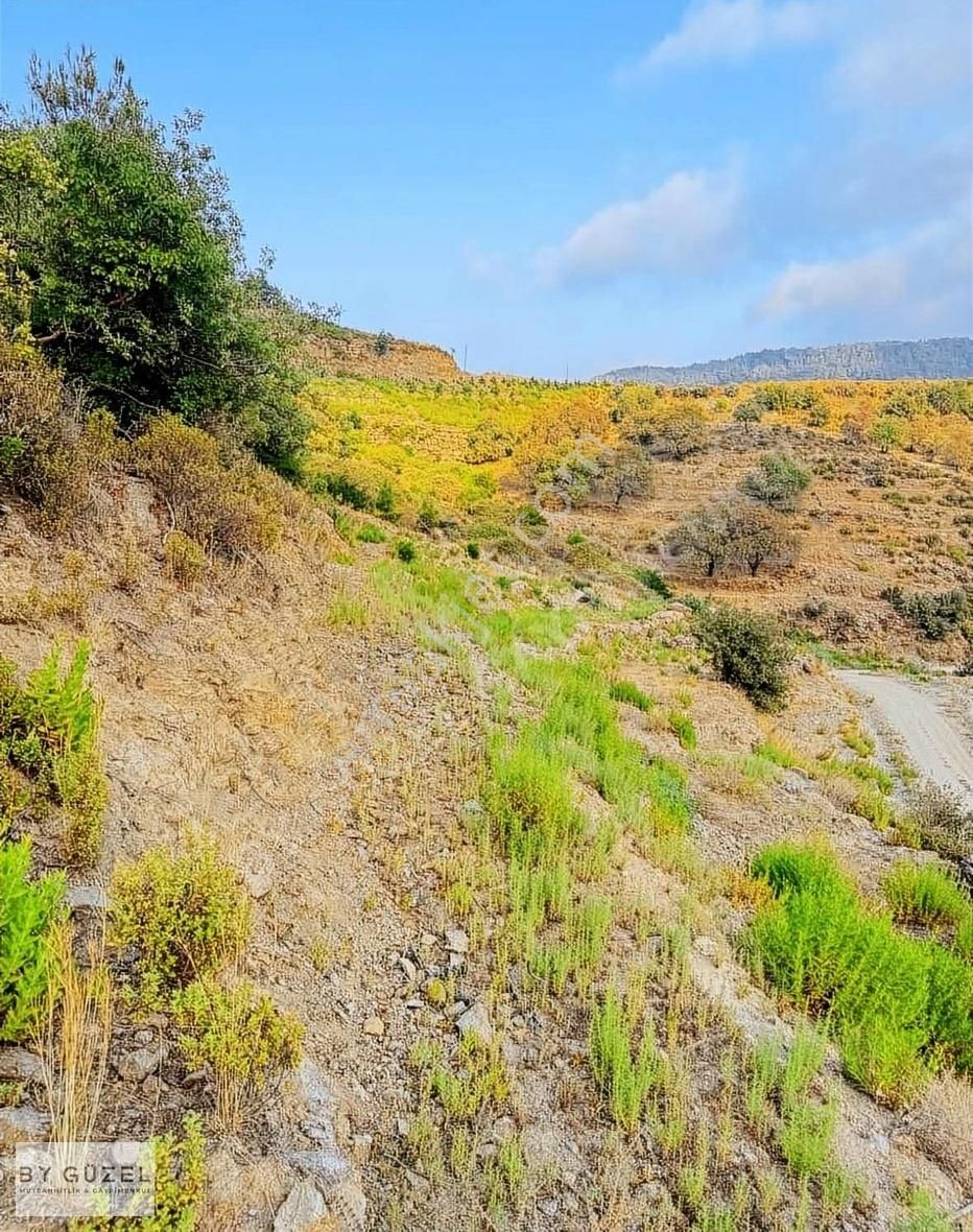 Alanya Yeniköy Satılık Tarla Araç Takası Mevcut Yatırımlık Deniz Manzaralı Tarla