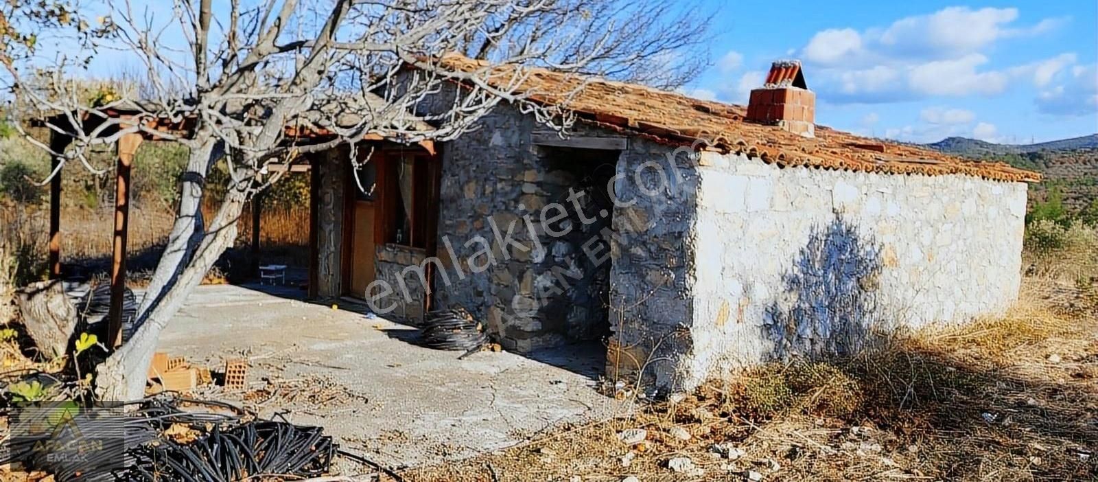 Bergama Koyuneli Satılık Tarla Afacan Dan Çit İle Çevrili Taş Binası Olan Satılık Zeytinlik