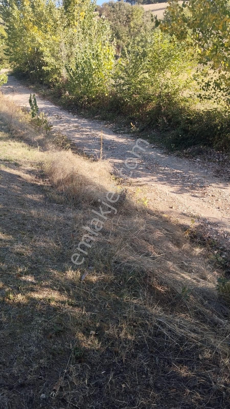 İnegöl Madenköy Satılık Tarla Maden Mahallesinde Acil Satılık Tarla ( Akbaşlar Emlak Aracılığıyla )