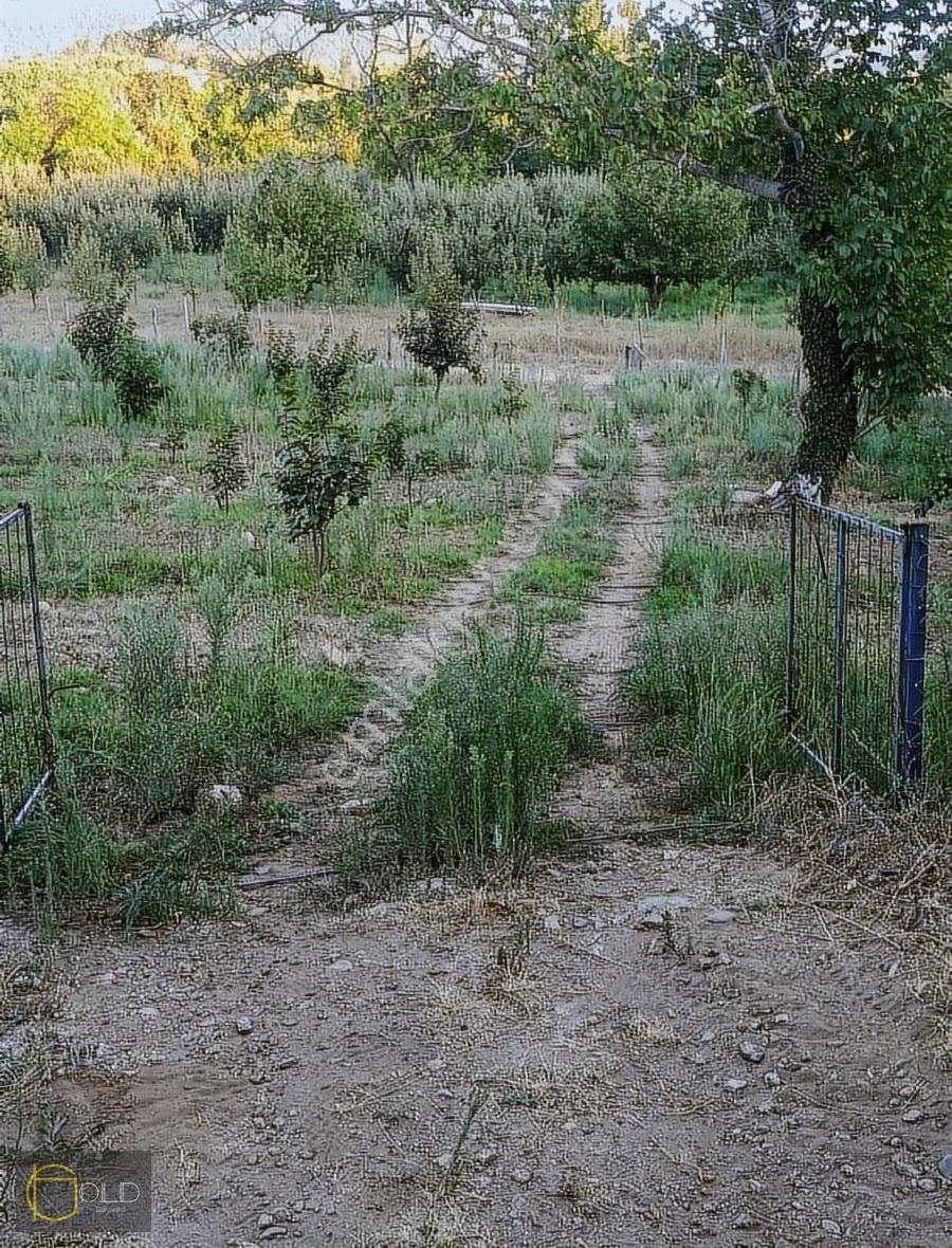 Bayramiç Beşik Köyü Satılık Tarla Çanakkale Bayramiç Beşik Köyünde Satılık Tarla