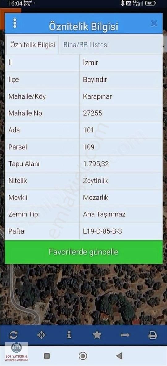 Söz Gayrimenkulden; Karapınarda Bakımlı Zeytinlik