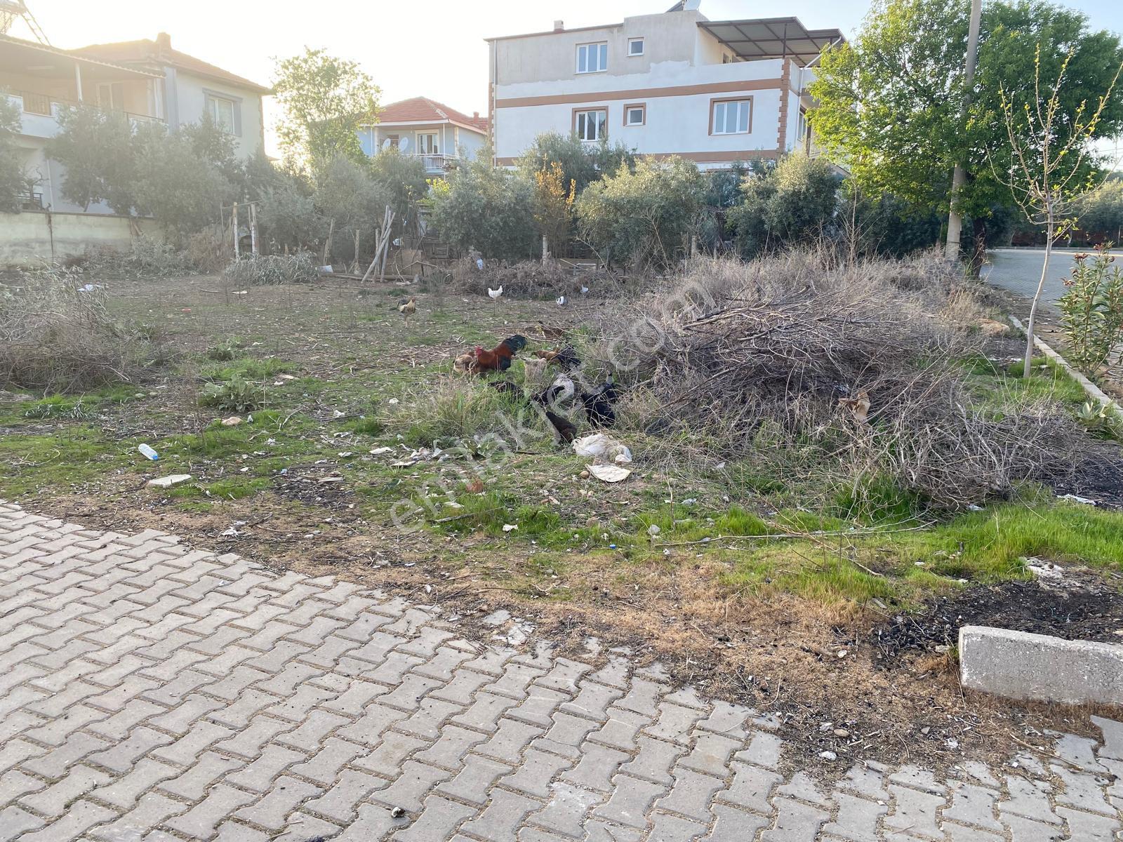 Manisa Alaşehir Alper Gayrimenkulden Şeyhsinan Mah Köşe Başı 335 M2 3 Kat İmar - Görsel 3
