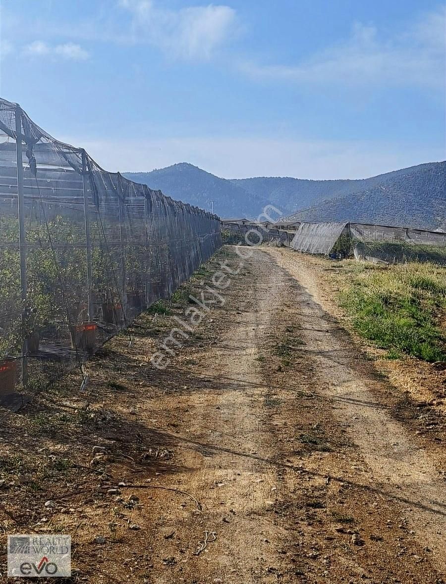 Korkuteli Çomaklı Satılık Tarla Gökhan Karaoğlan'dan Korkuteli Çomaklı'da Satılık 5000 M2 Arazi