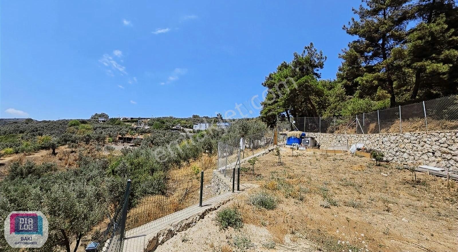 Mudanya Çepni Satılık Zeytinlik Bursa Mudanya Çepni Köyü'nde Yola Cephe Satılık Zeytinlik