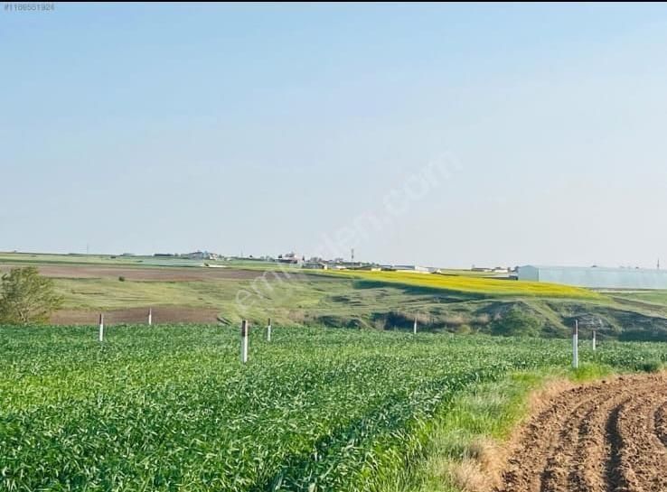 Saray Göçerler Satılık Tarla Saray Göçerler 270 M2 Alıcısına Yüksek Pirim Sağlayacak Kupon Arsa