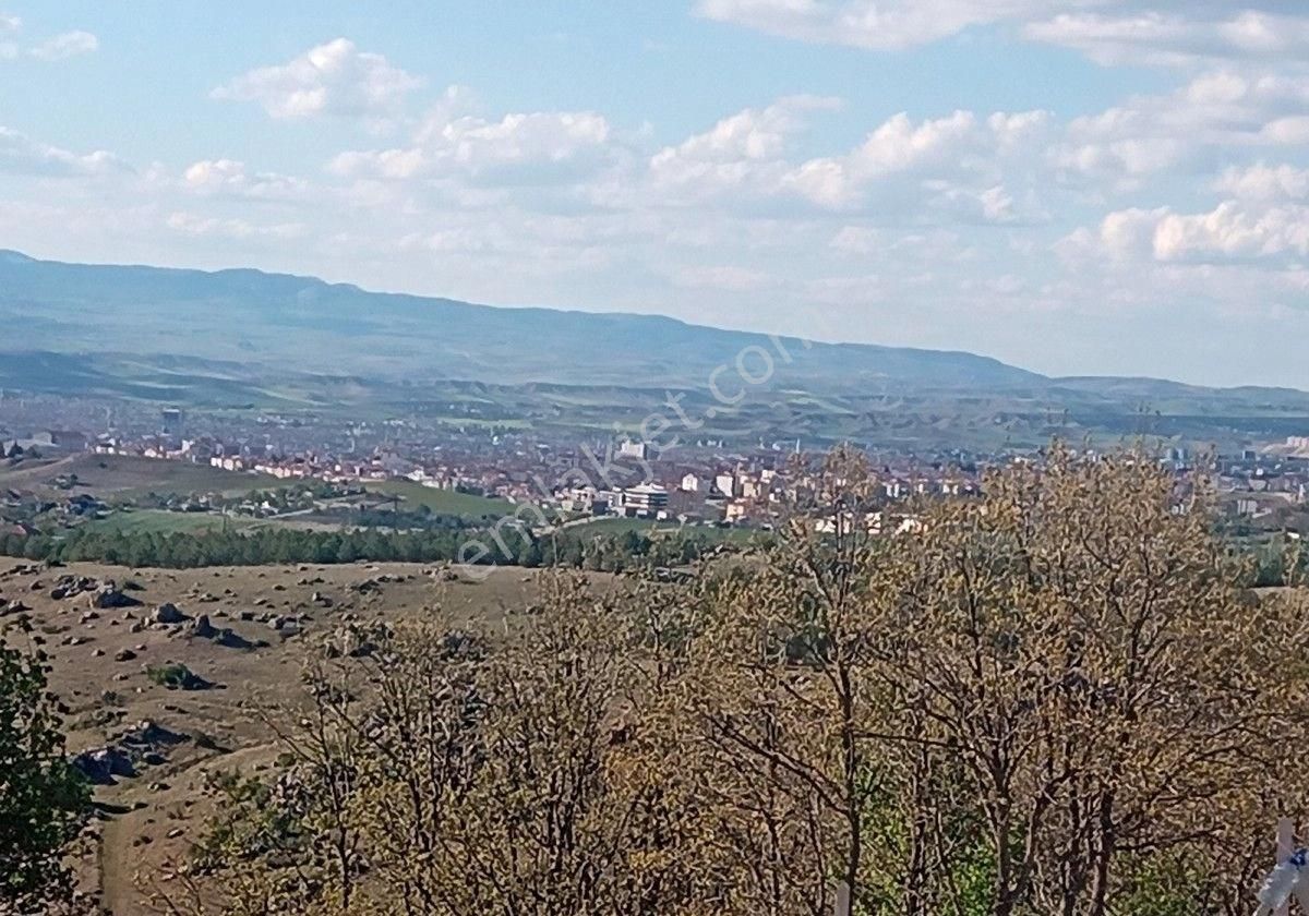 Çorum Merkez Kazıklıkaya Köyü Satılık Bağ & Bahçe Emlak Dünyasından Kazıklıkaya Köyü Fuul Çorum Manzaralı Satılık Hobi Bahcesi