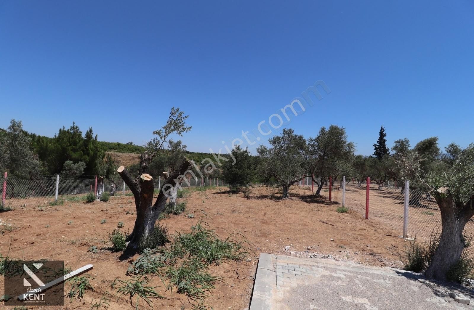 Kemalpaşa Çambel Satılık Bahçe 1.528 M2 - Görsel 27