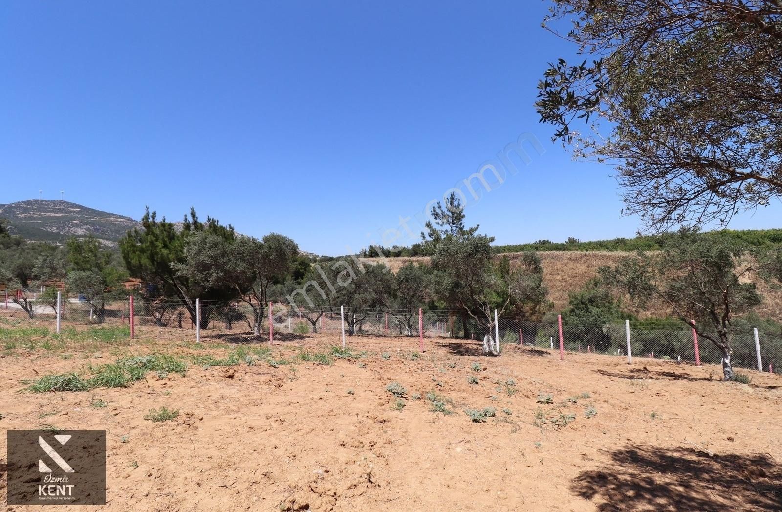 Kemalpaşa Çambel Satılık Bahçe 1.528 M2 - Görsel 23