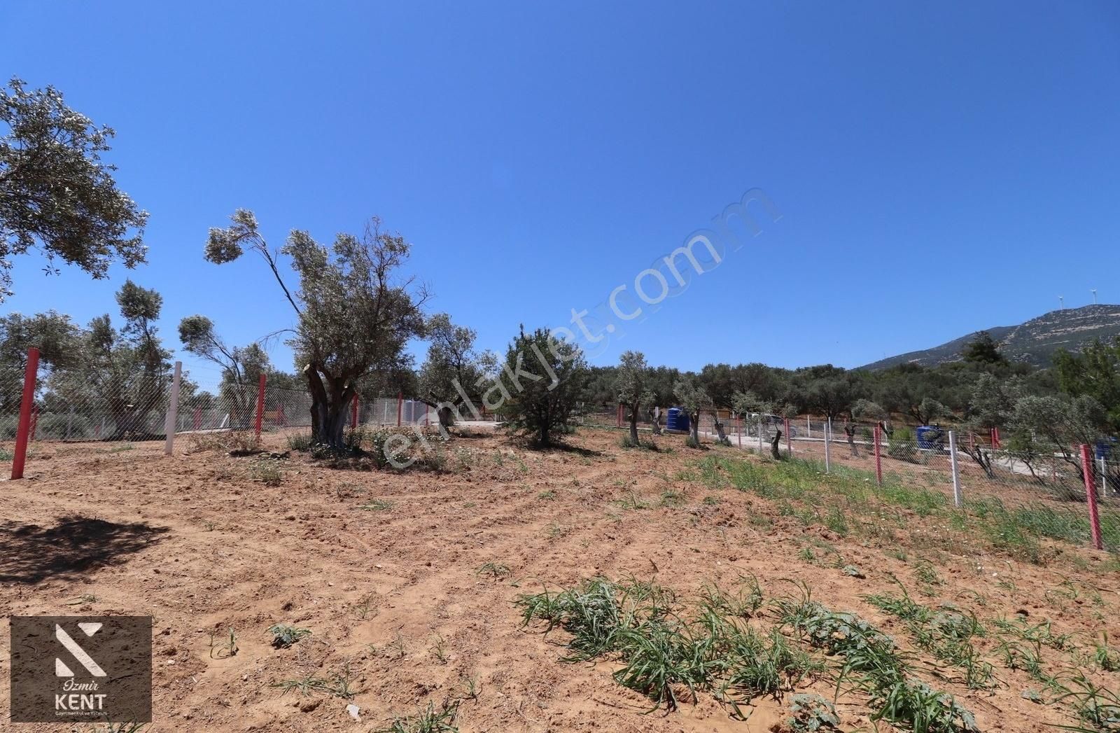Kemalpaşa Çambel Satılık Bahçe 1.528 M2 - Görsel 24