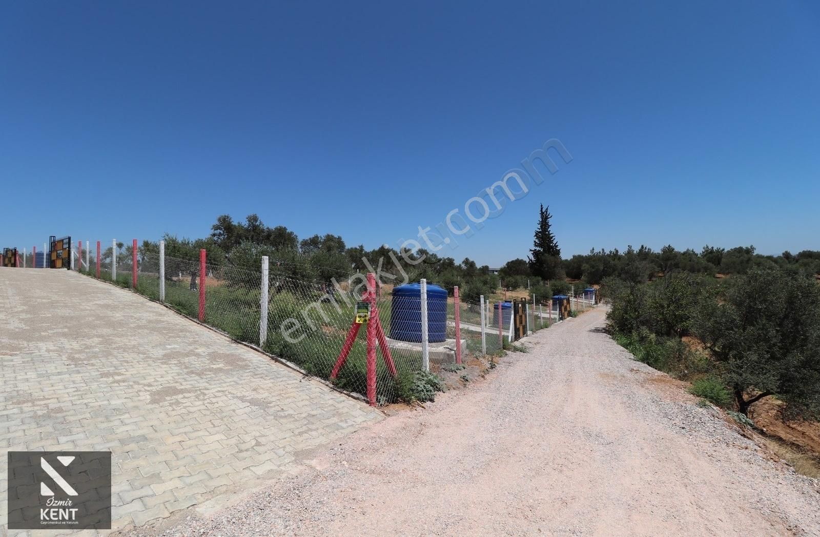 Kemalpaşa Çambel Satılık Bahçe 1.528 M2 - Görsel 32