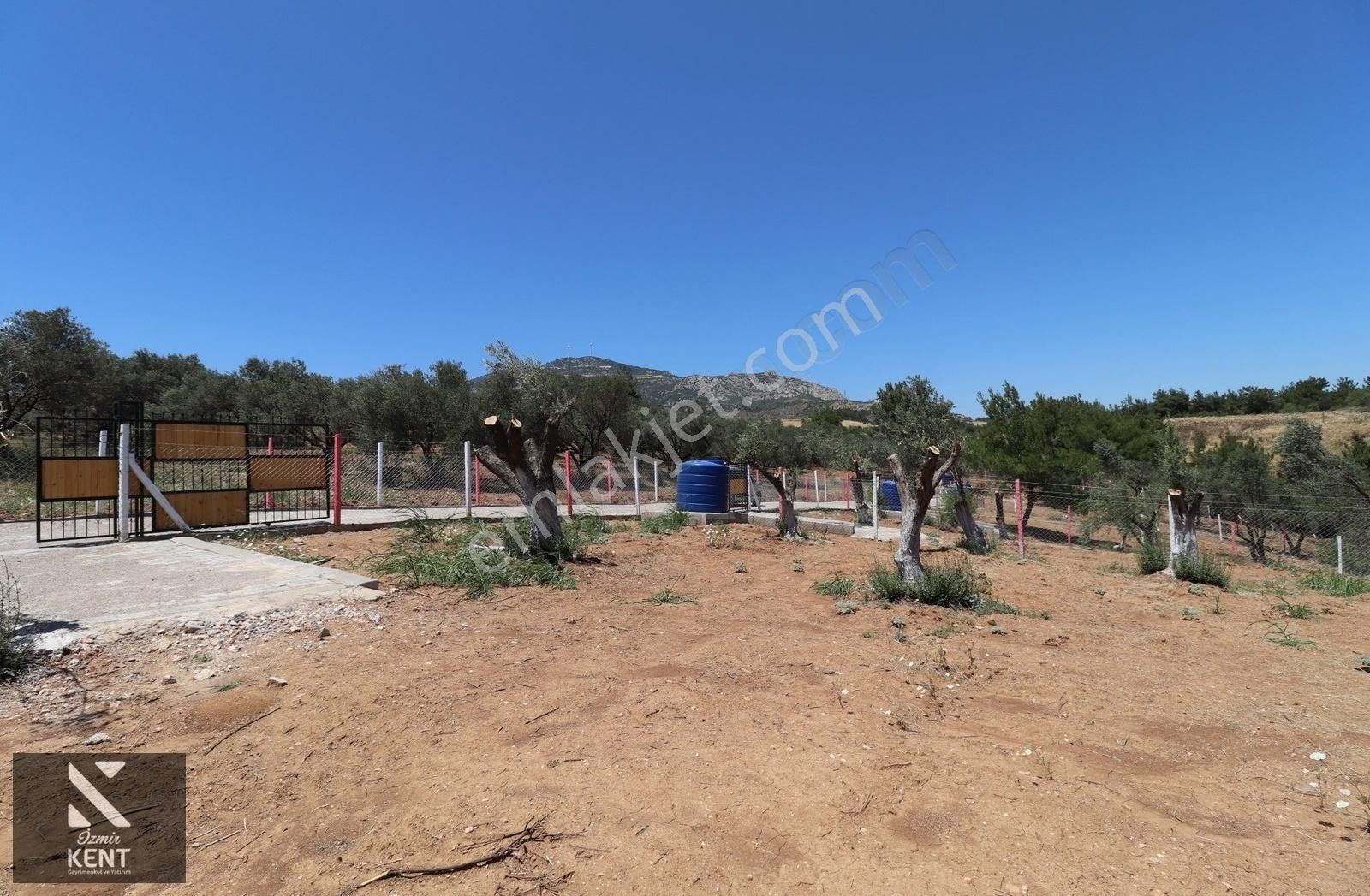 Kemalpaşa Çambel Satılık Bahçe 1.528 M2 - Görsel 2