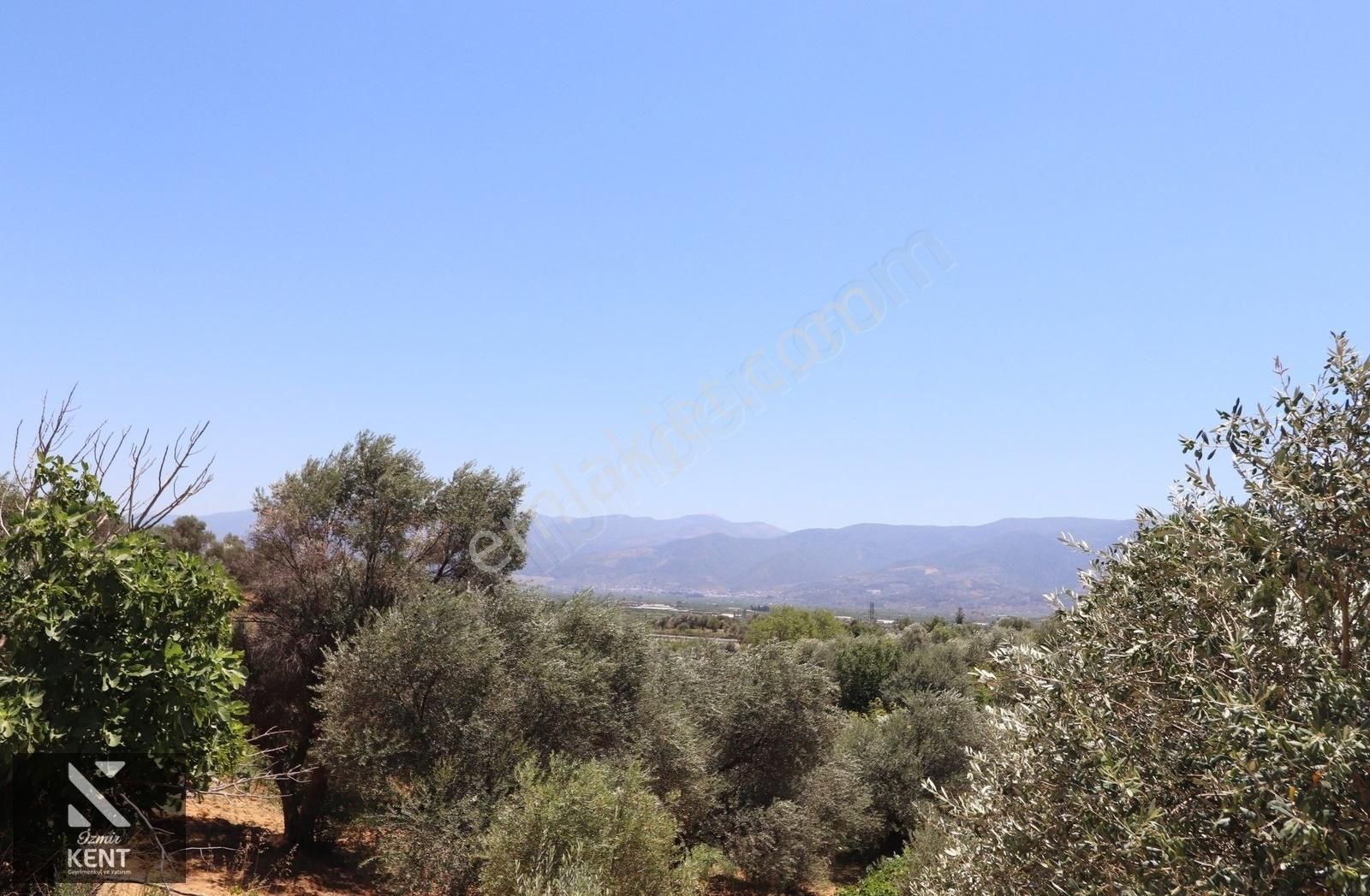 Kemalpaşa Çambel Satılık Bahçe 1.528 M2 - Görsel 6