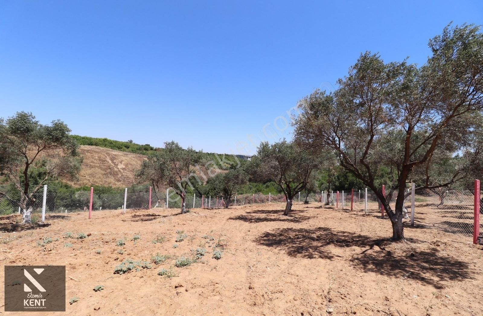 Kemalpaşa Çambel Satılık Bahçe 1.528 M2 - Görsel 25