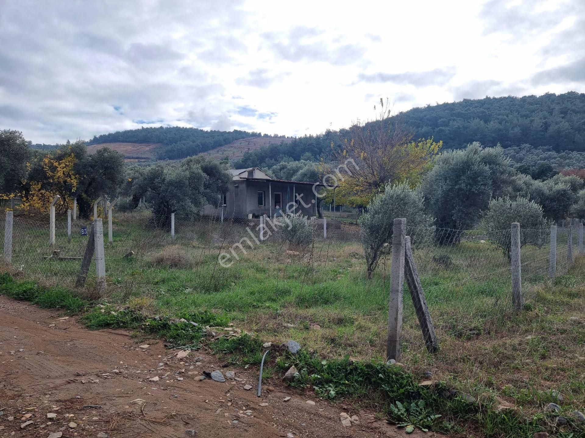 Torbalı Karakızlar Satılık Tarla Eşiyok Emlak'tan Torbalı Karakızlar Da Satılık Tarla