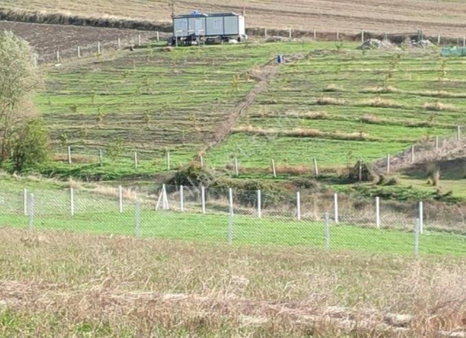 Silivri Değirmenköy Fevzipaşa Satılık Tarla Silivri/değirmenköyde Satılık Fırsat Arsa