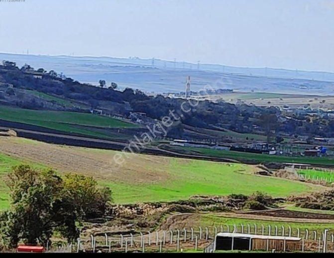 Silivri/değirmenköyde Satılık Fırsat Arsa - Görsel 3