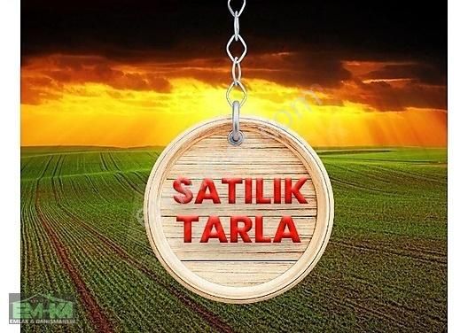 Çardak Hürriyet Satılık Tarla Çardak'ta Satılık Yatırımlık Tarla