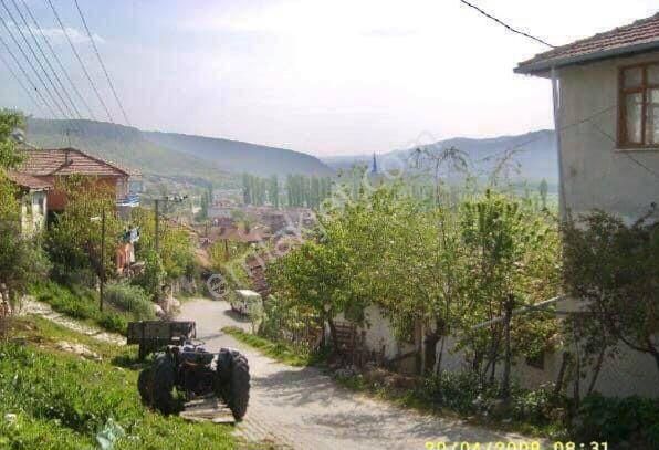 Gölpazarı Bolatlı Köyü Satılık Tarla Bilecik Gölpazarı Bolaltı Satılık Müstakil Tapulu Arazi