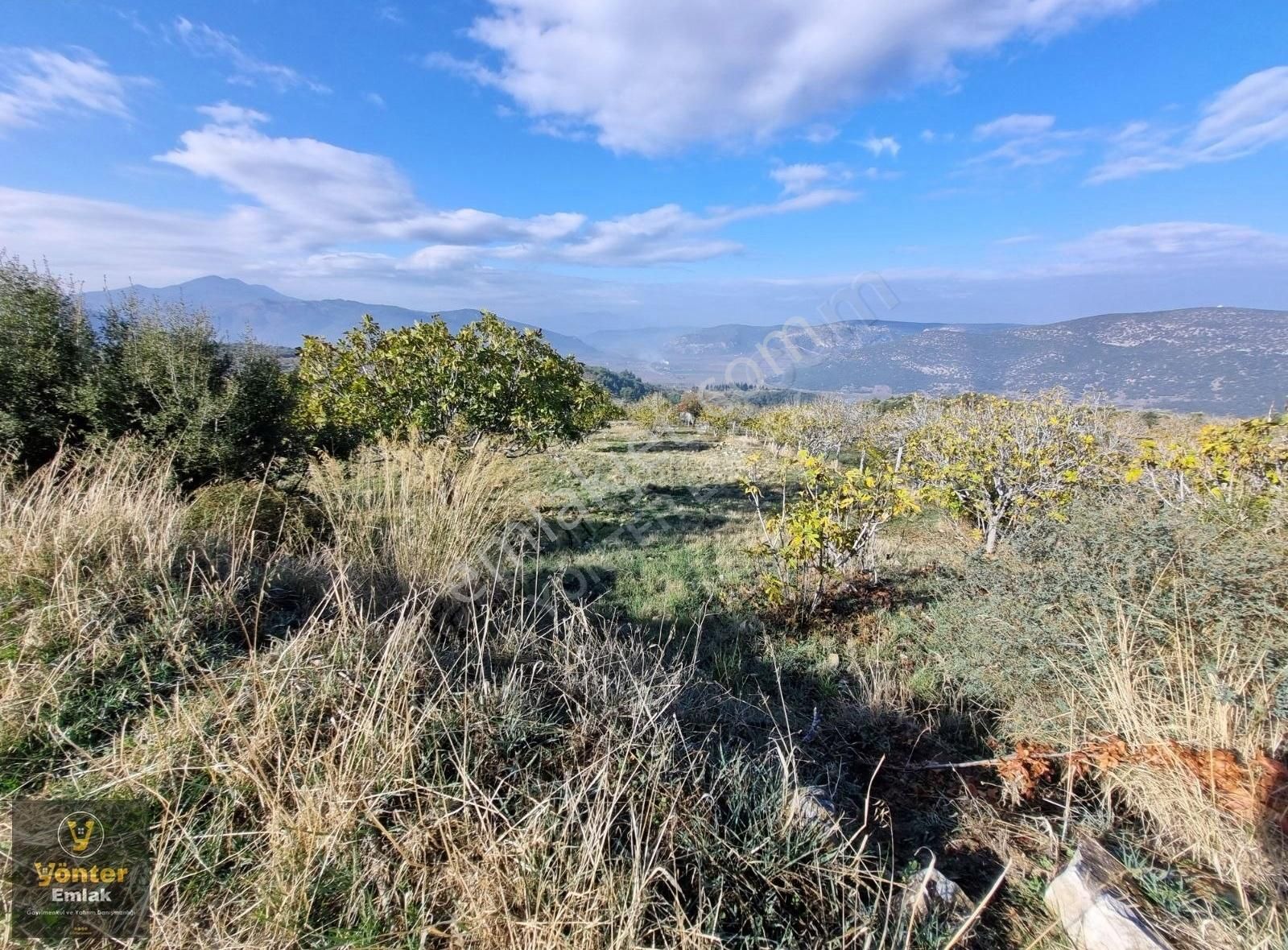 Yönter Emlaktan Akçaşehir Köyünde 3.698 M² İncir Bahçesi - Görsel 12