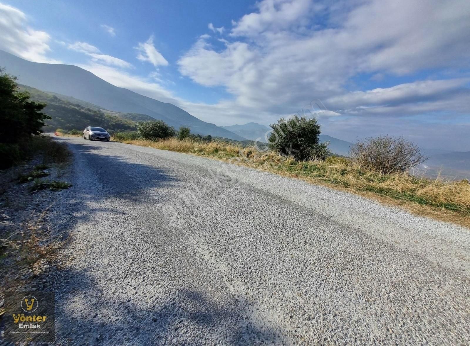 Yönter Emlaktan Akçaşehir Köyünde 3.698 M² İncir Bahçesi - Görsel 23