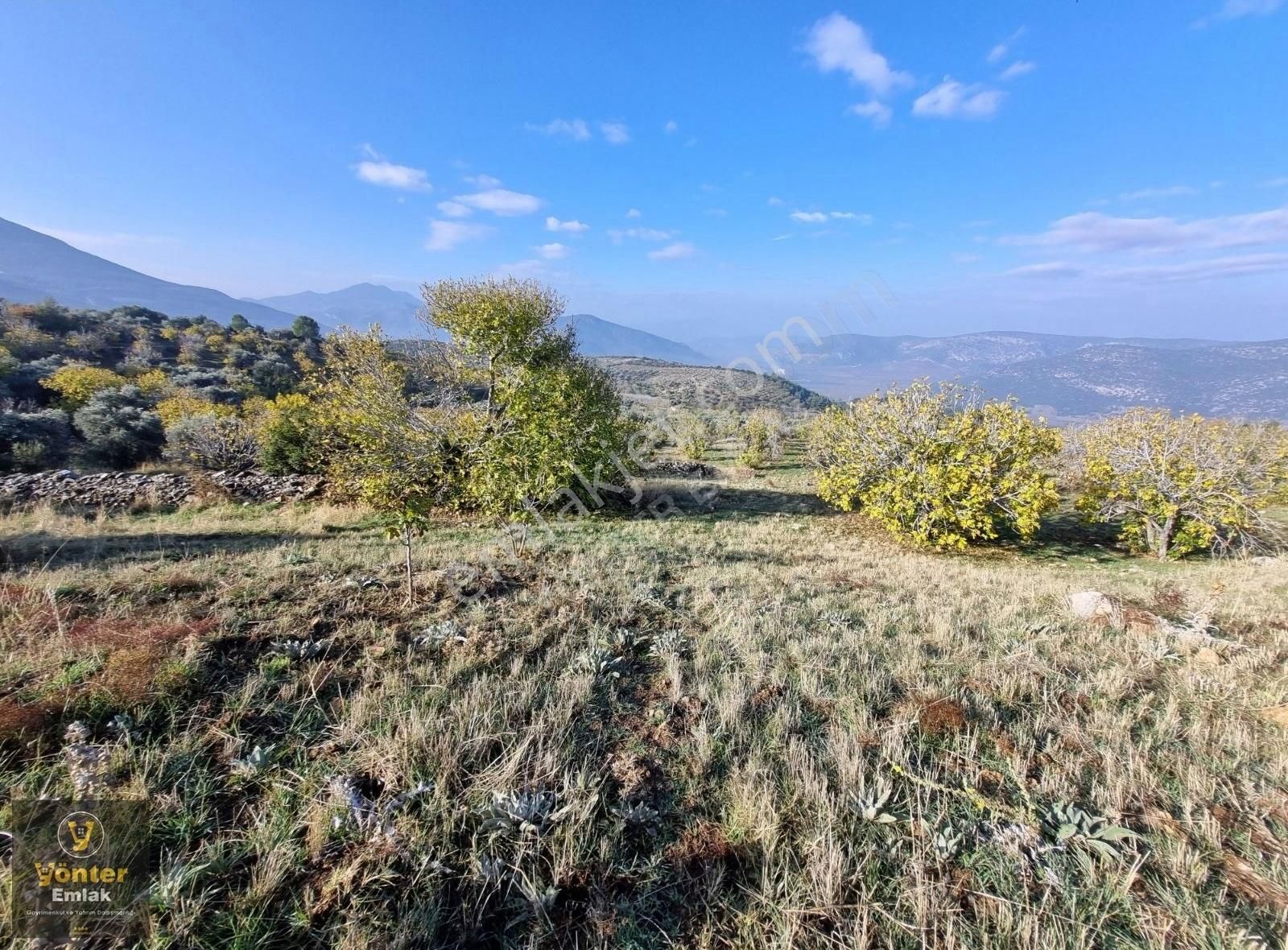 Yönter Emlaktan Akçaşehir Köyünde 3.698 M² İncir Bahçesi - Görsel 19