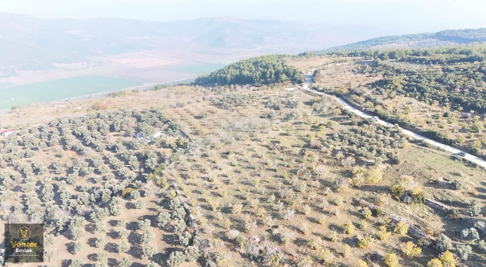 Yönter Emlaktan Akçaşehir Köyünde Tek Tapu İncir Bahçesi - Görsel 32