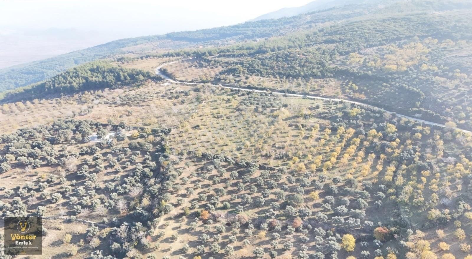 Yönter Emlaktan Akçaşehir Köyünde Tek Tapu İncir Bahçesi - Görsel 14