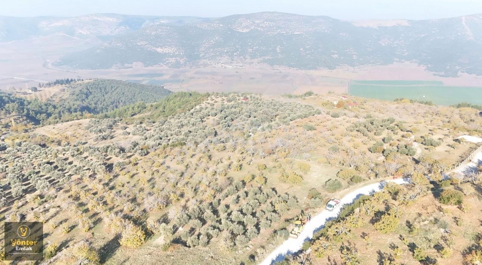 Yönter Emlaktan Akçaşehir Köyünde Tek Tapu İncir Bahçesi - Görsel 17