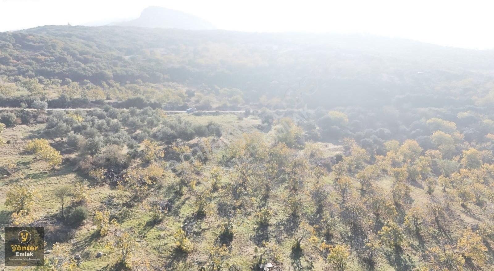 Yönter Emlaktan Akçaşehir Köyünde Tek Tapu İncir Bahçesi - Görsel 20