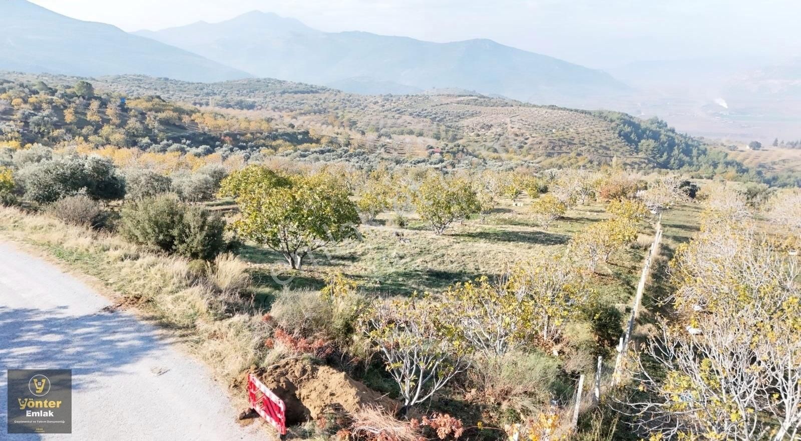 Yönter Emlaktan Akçaşehir Köyünde Tek Tapu İncir Bahçesi - Görsel 23