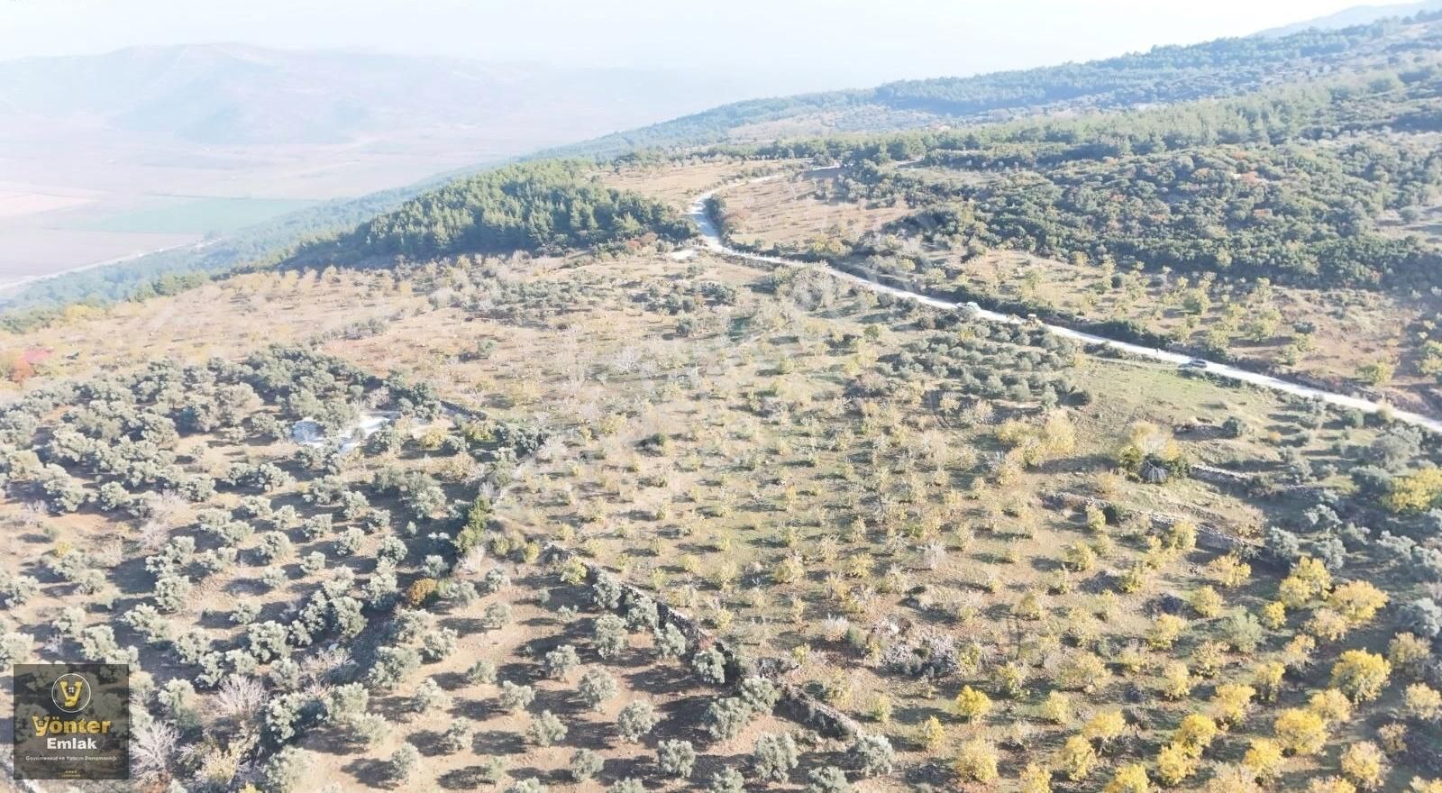 Yönter Emlaktan Akçaşehir Köyünde Tek Tapu İncir Bahçesi - Görsel 11