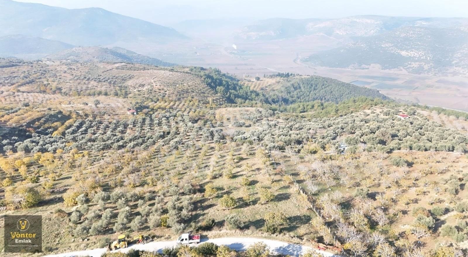 Yönter Emlaktan Akçaşehir Köyünde Tek Tapu İncir Bahçesi - Görsel 35