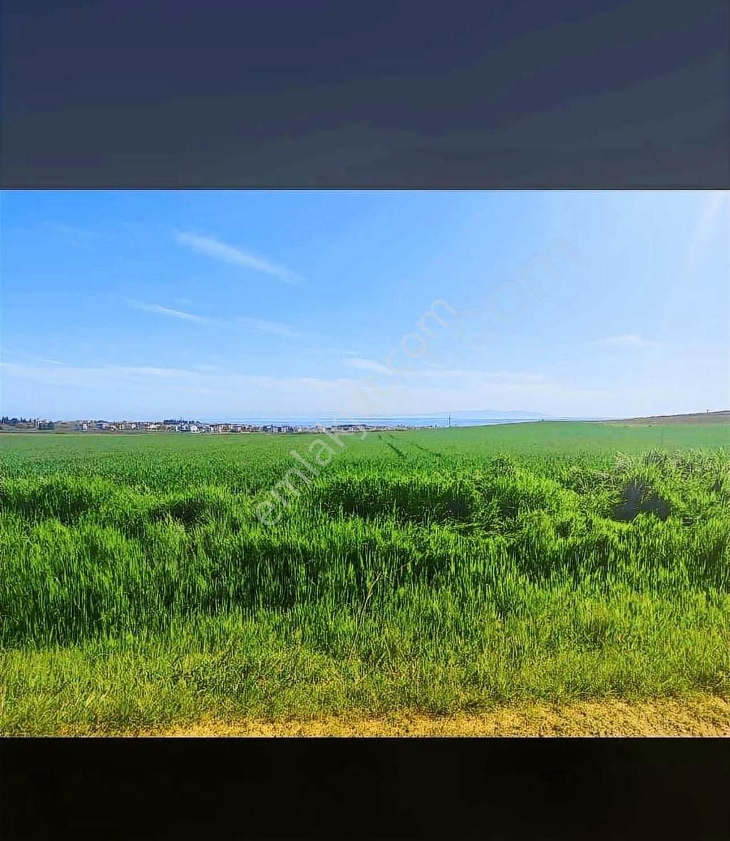 Marmaraereğlisi Çeşmeli Satılık Tarla Deniz Manzaralı Hazır Tapu Arsa