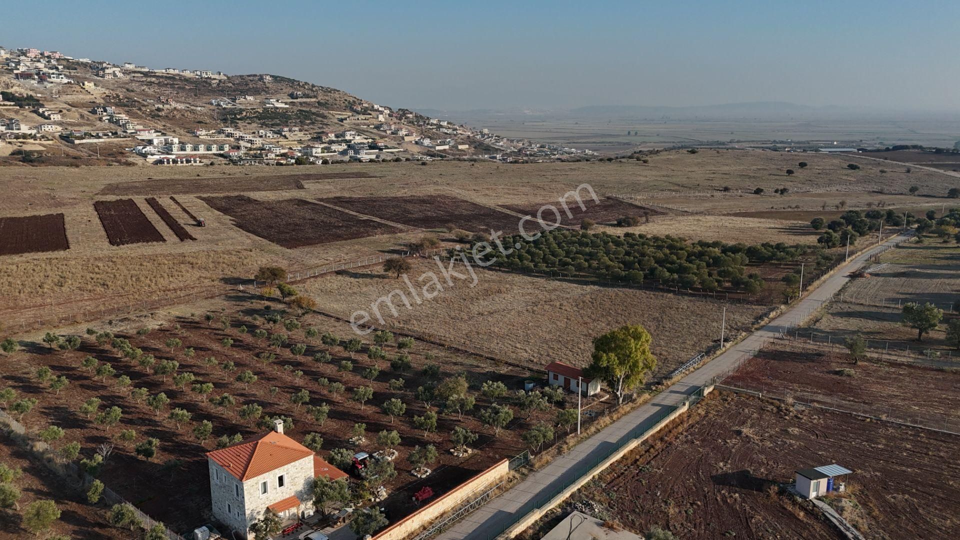 Foça Yenibağarası Satılık Tarla Foça Yeni Bağarası İmar Sınırı 9766m2 Tarla