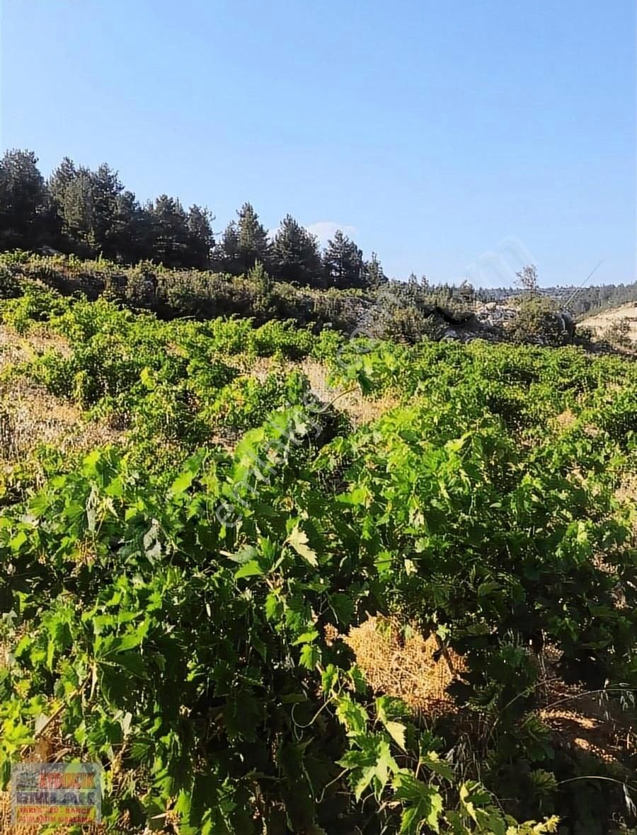 Aydıncık Emlaktan Satılık Bağ Bahçe 34.338m2 - Görsel 5