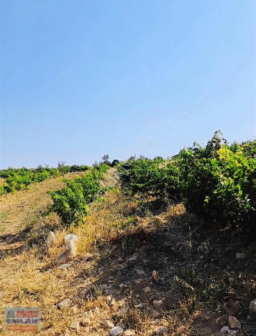 Aydıncık Emlaktan Satılık Bağ Bahçe 34.338m2 - Görsel 7
