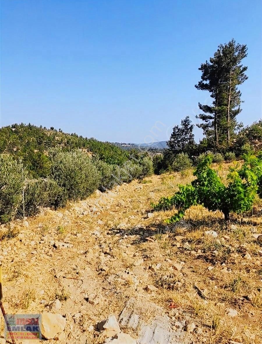 Aydıncık Emlaktan Satılık Bağ Bahçe 34.338m2 - Görsel 6