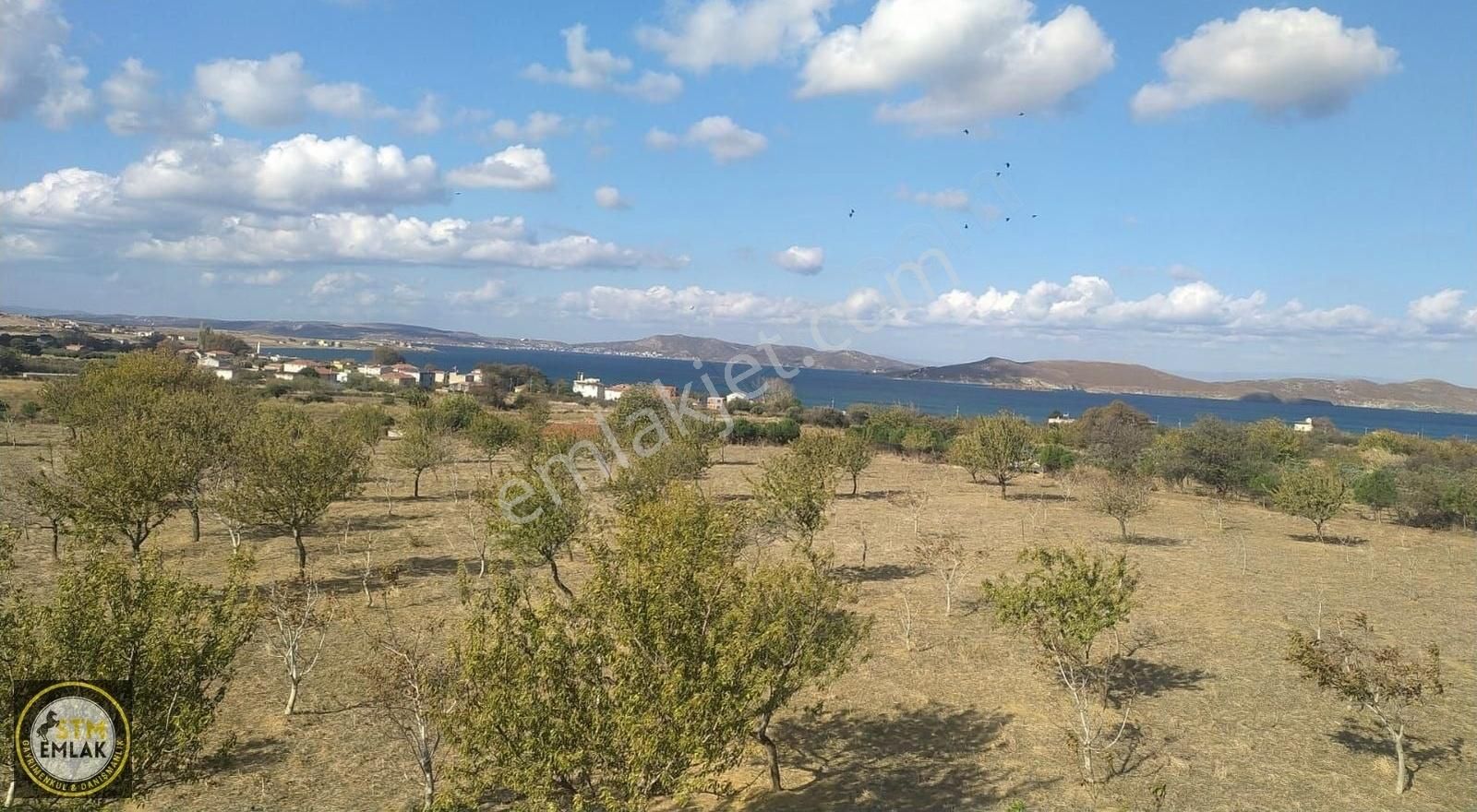 Erdek Paşalimanı Satılık Tarla Stm Emlak Tan Erdek Paşaliman Adasında Satılık Parseller