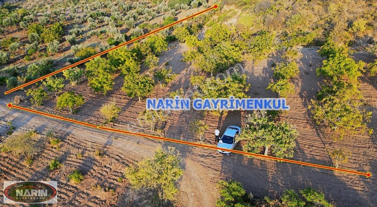 Şahinbey Dokur Köyü Ceviz İncir Sumak Bahçesi Yeri Havadar. - Görsel 10